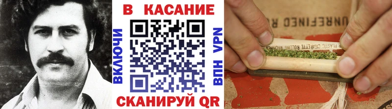 Псилоцибиновые грибы Североморск