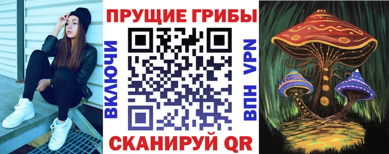 гидра маркетплейс  Североморск  Псилоцибиновые грибы Psilocybe 